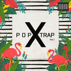 دانلود پکیج لوپ و سمپل Kryptic Samples Pop X Trap Vol 1 WAV MiDi